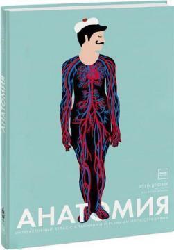 Анатомія