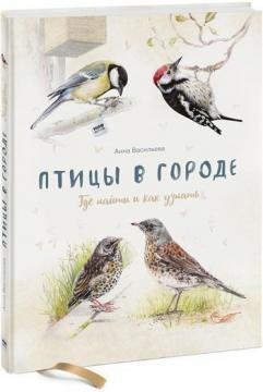 Птахи в місті. Де знайти і як дізнатися