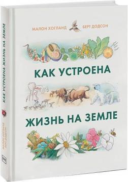 Як влаштоване життя на Землі