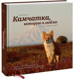 Камчатка, яку я люблю
