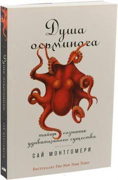 Душа восьминога. Таємниці свідомості дивної істоти