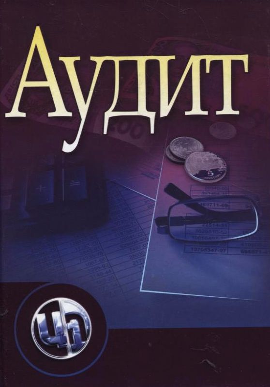 Аудит. Основи державного, незалежного, професійного та внутрішнього аудиту