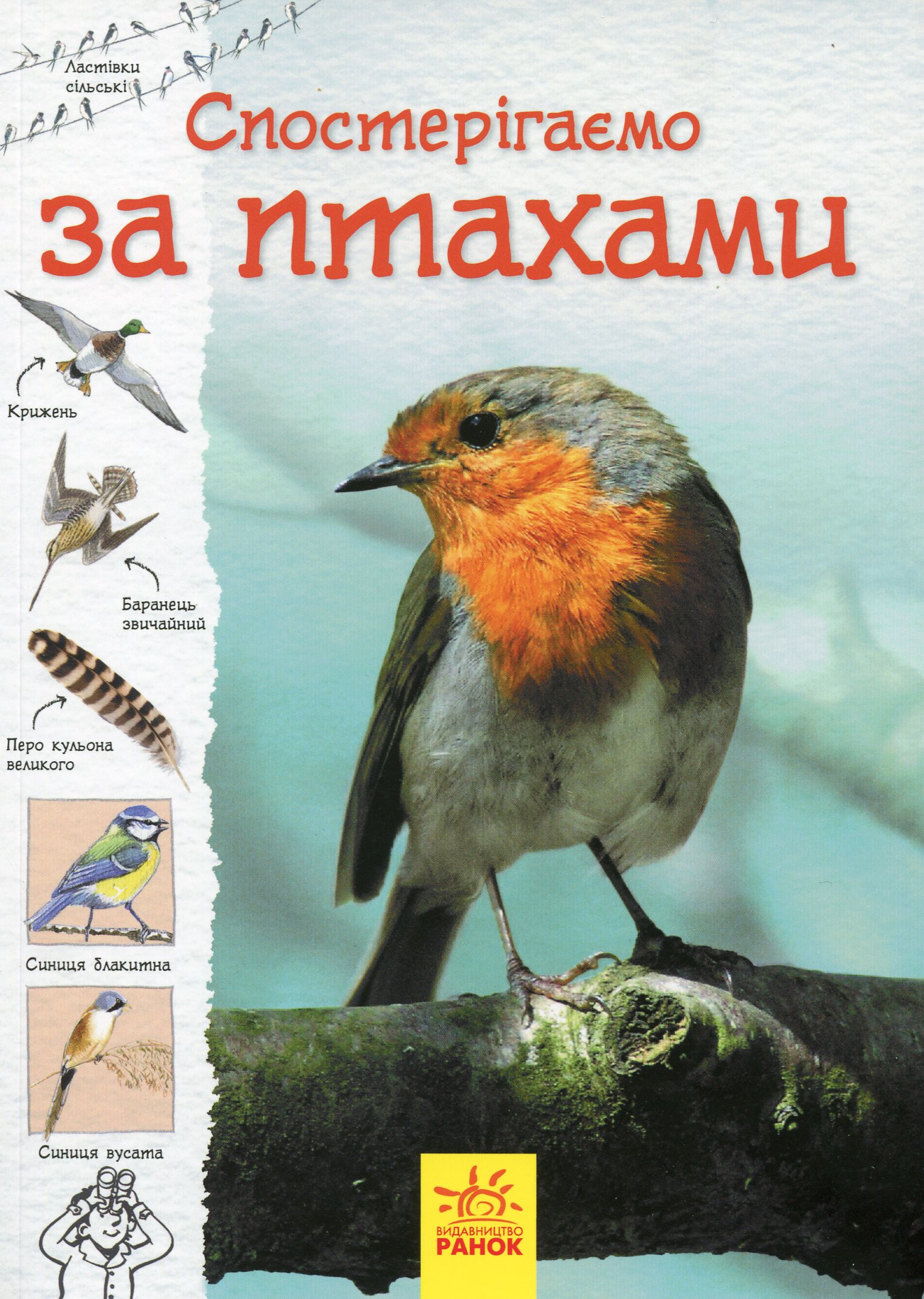 Стежками природи. Спостерігаємо за птахами