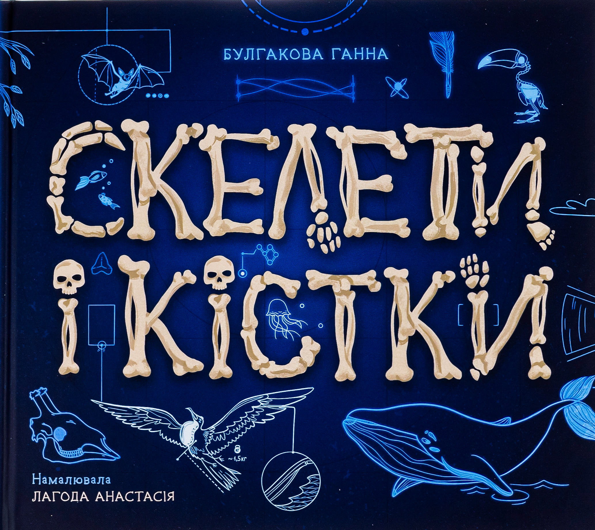 Скелети і кістки. Енциклопедія з віконцями