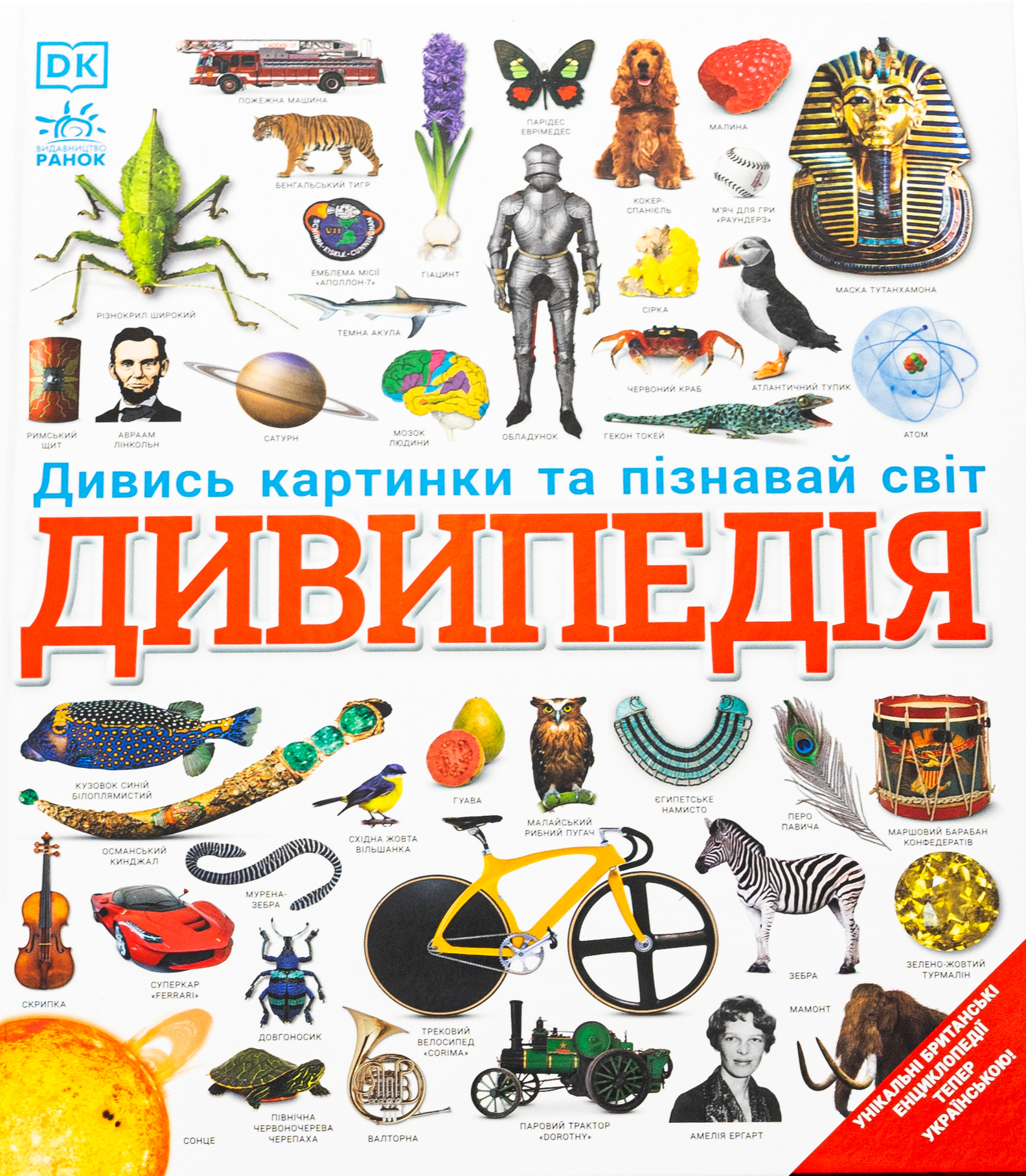 Дивипедія. Аманда Вайатт, Джо Лоренс