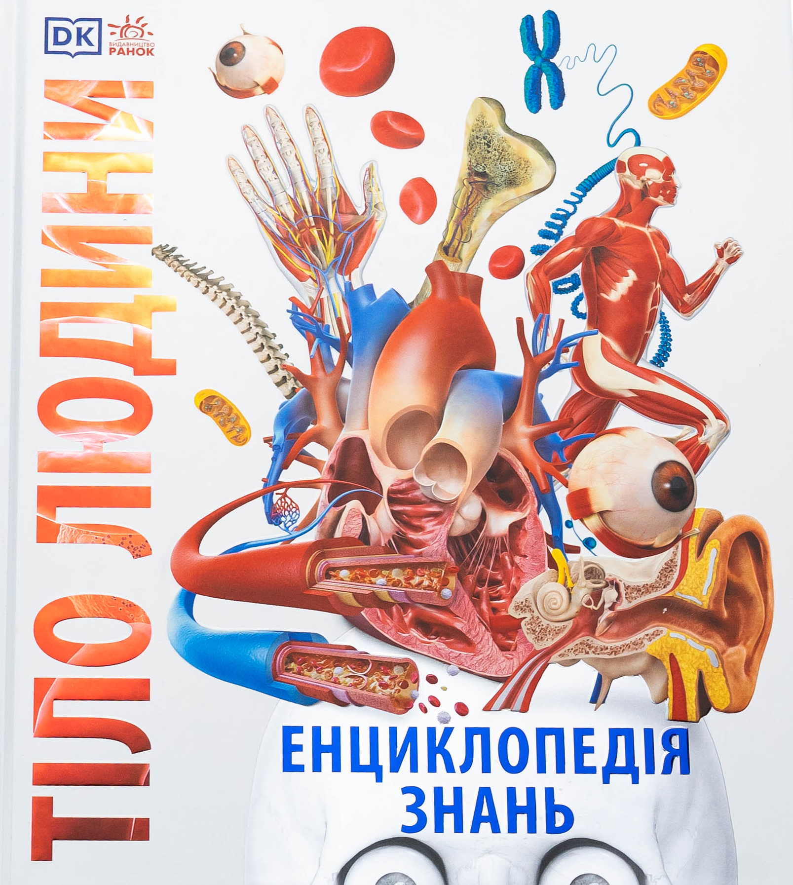 Енциклопедія знань. Тіло людини. Пітер Крісп; Стів Хоффман; Філіп Базеліс