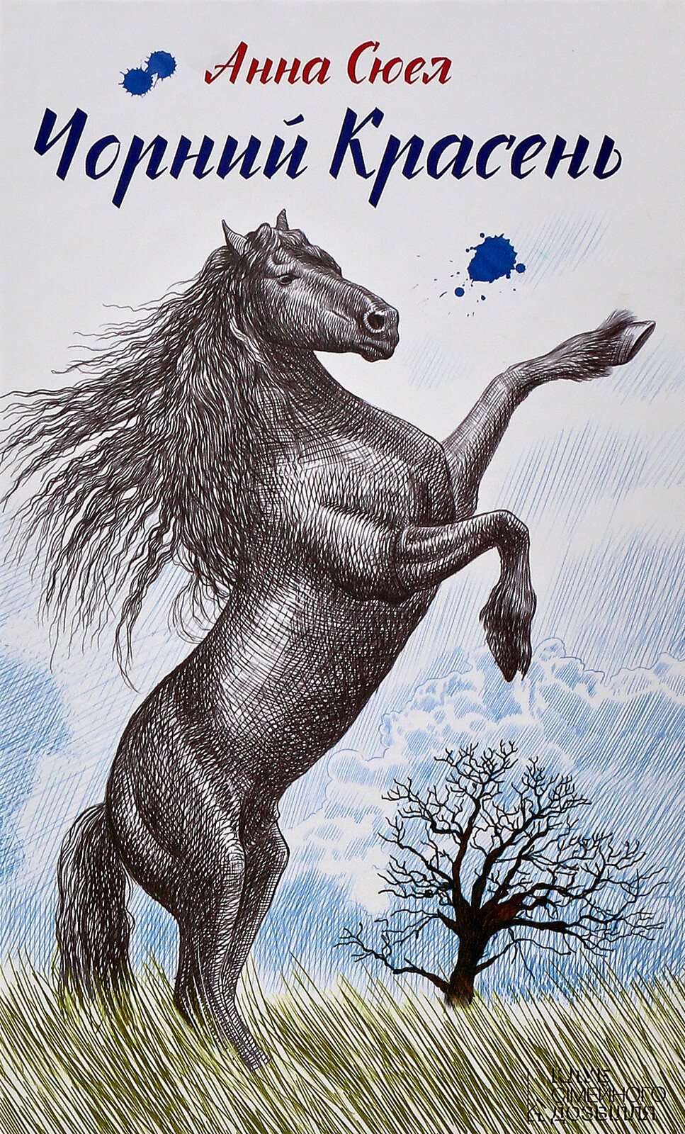 Чорний Красень (Поринь у світ пригод)