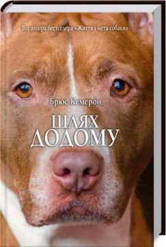 Шлях додому