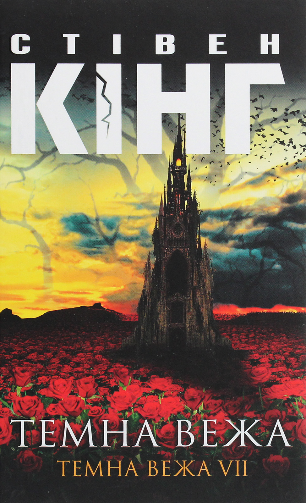 Темна вежа . Темна вежа VІІ