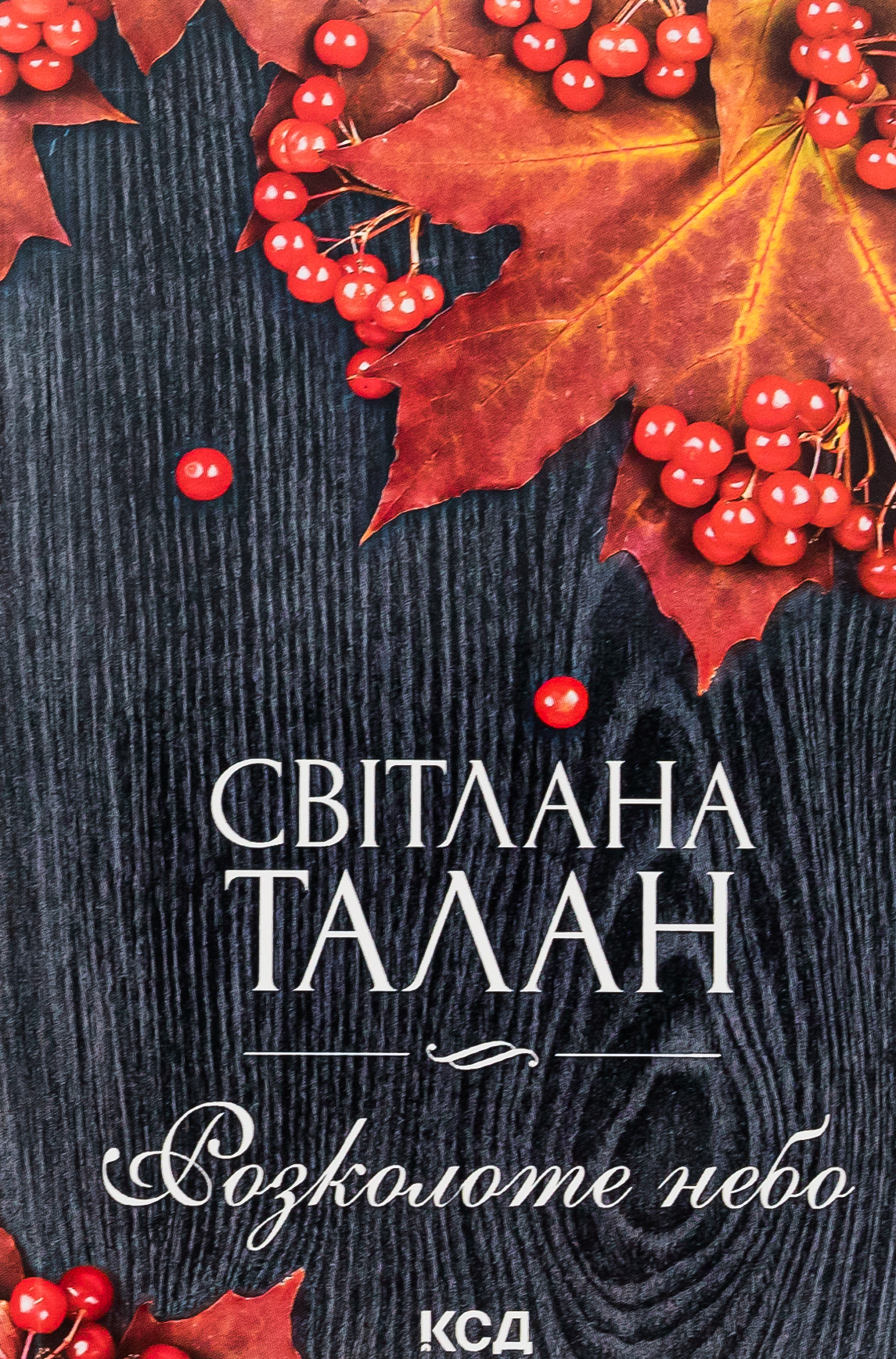 Розколоте небо (м'яка обкл.)