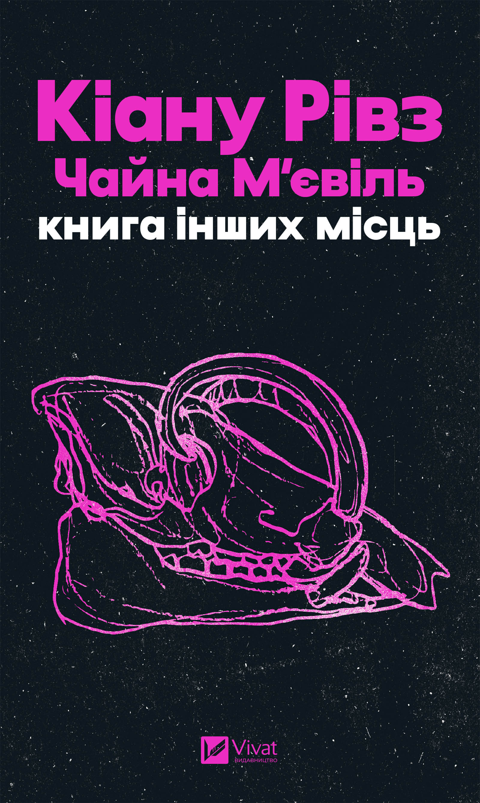 Книга інших місць