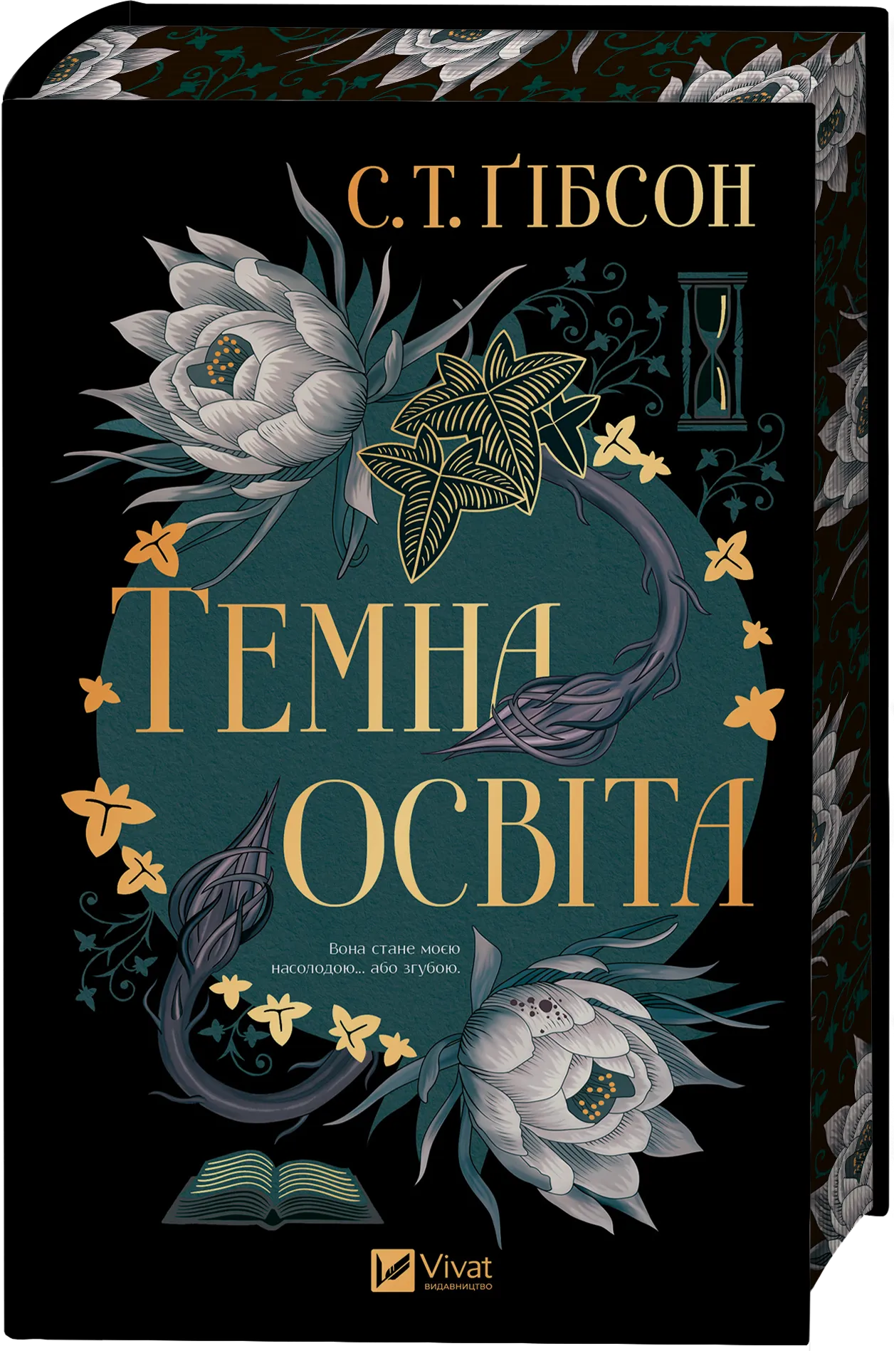 Темна освіта