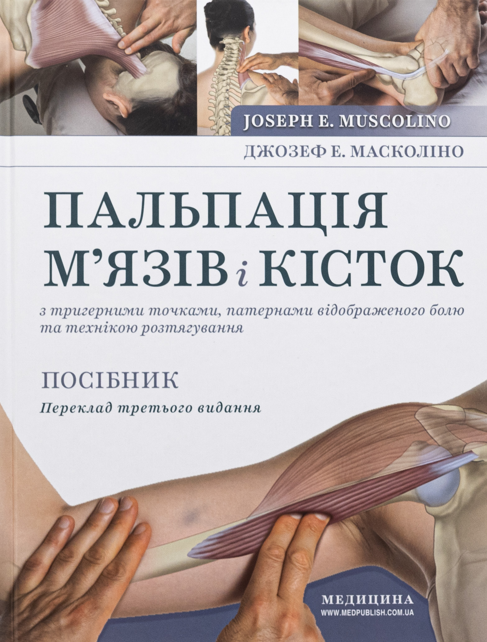 Пальпація м’язів і кісток з тригерними точками, патернами відображеного болю та технікою розтягування