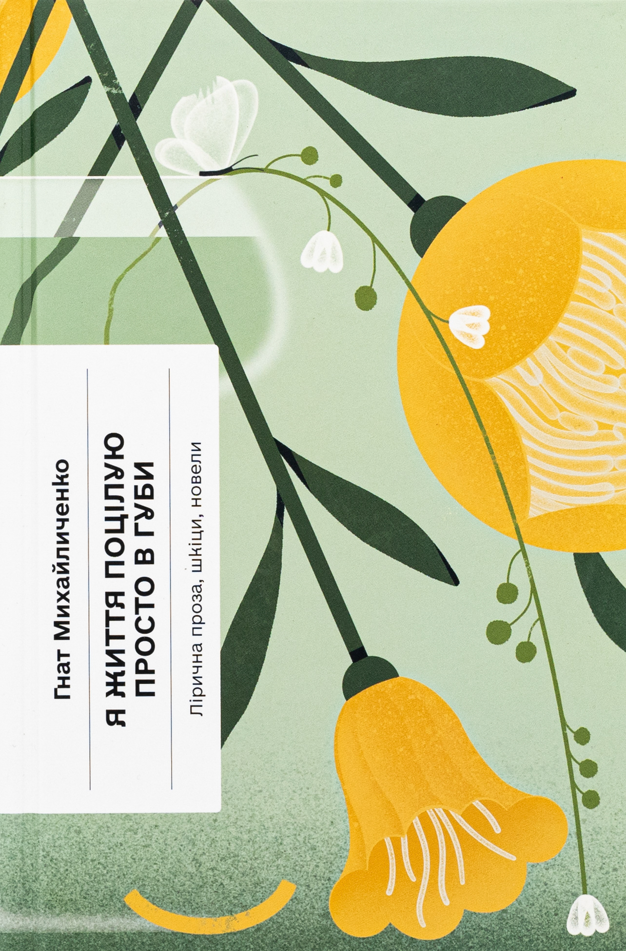 Я життя поцілую просто в губи. Лірична проза, шкіци, новели. Гнат Михайличенко