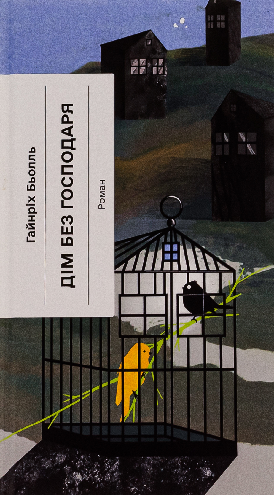 Дім без господаря (Класична проза)