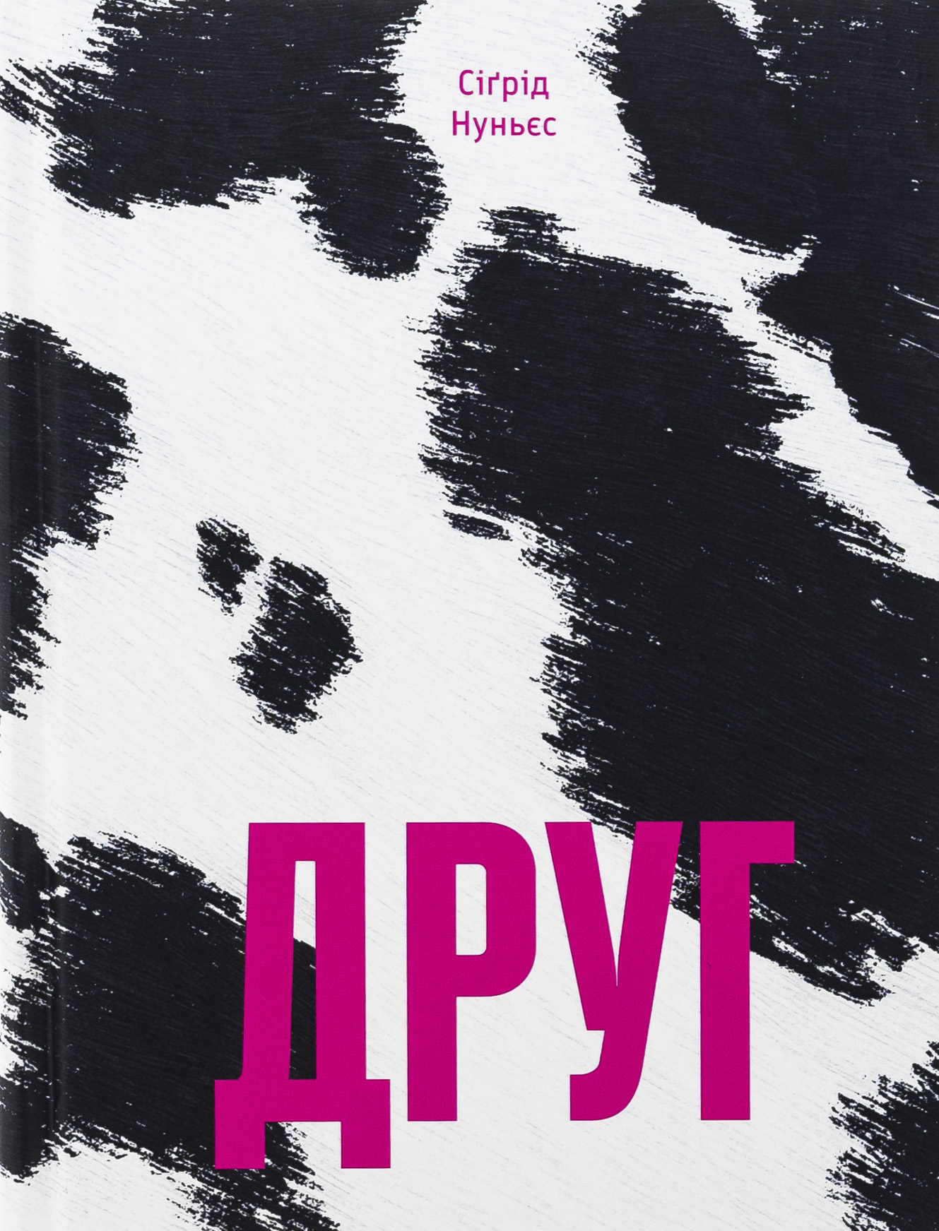 Друг. Сіґрід Нуньєс