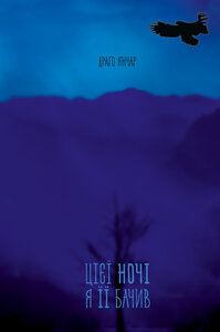 Цієї ночі я її бачив