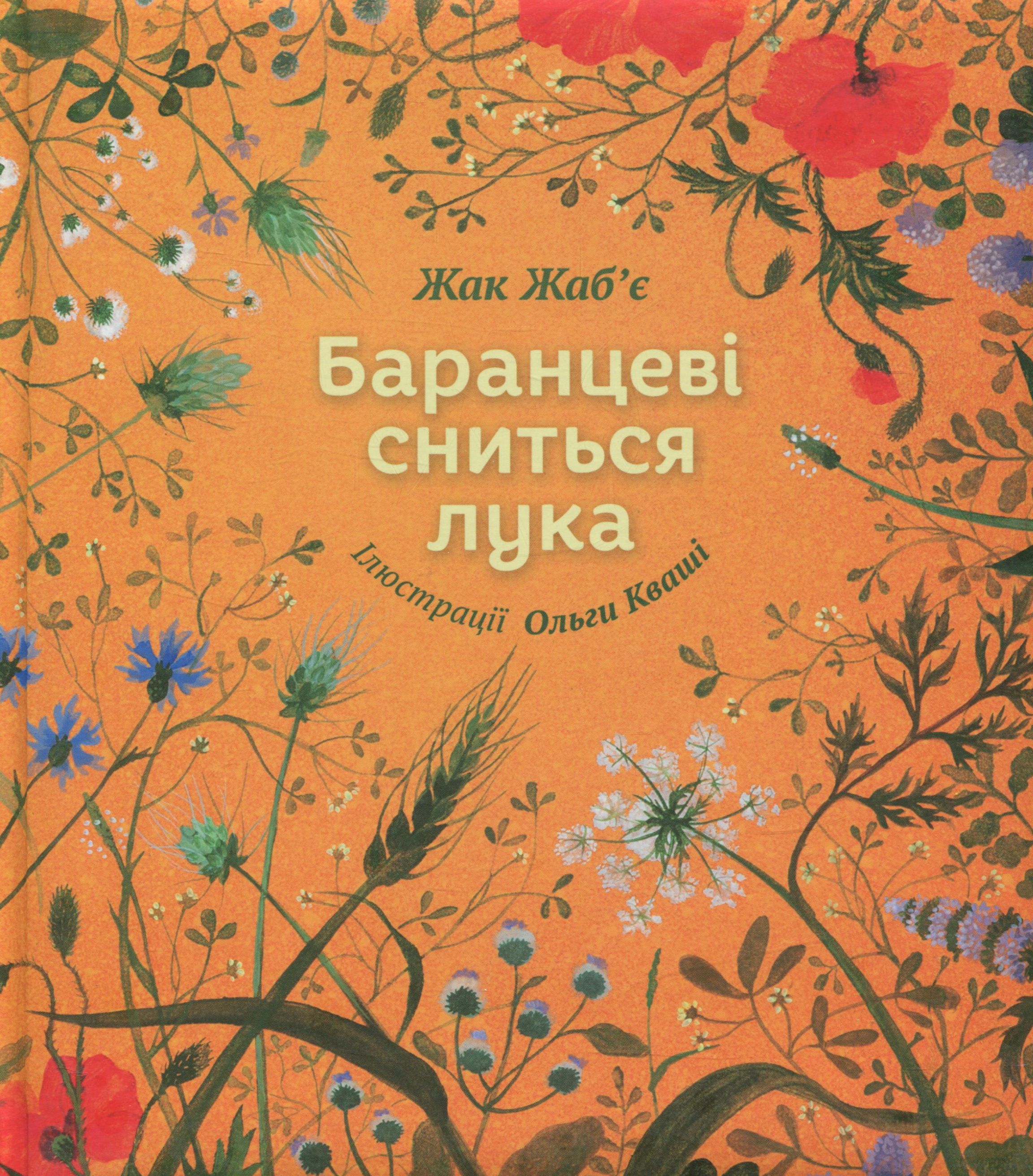 Баранцеві сниться лука