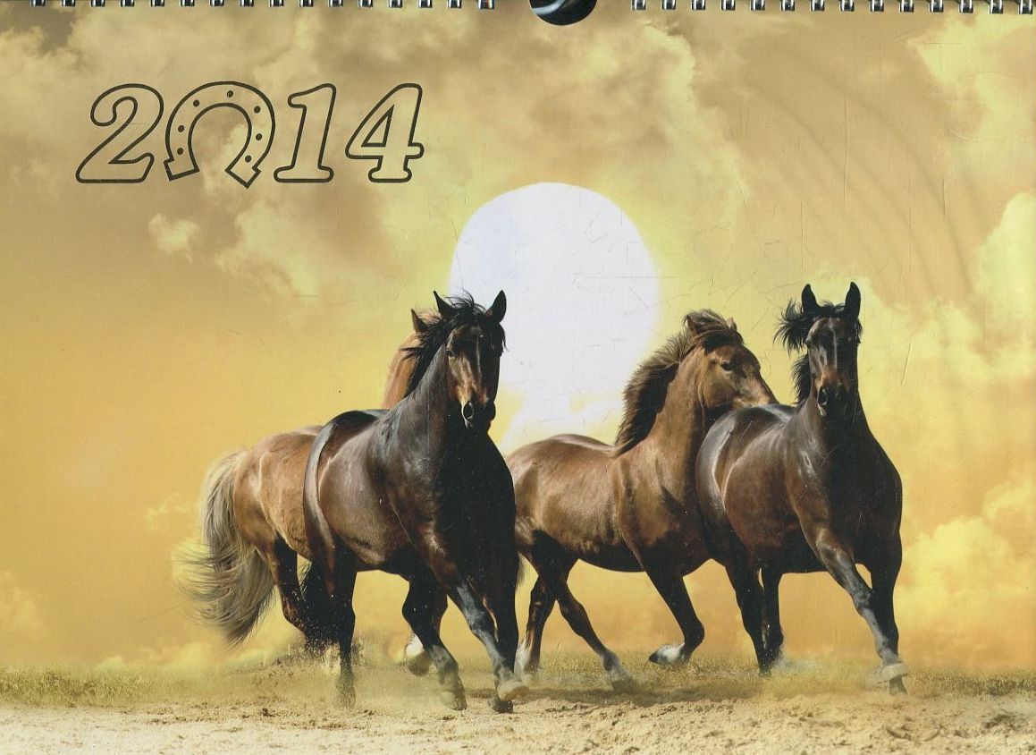 Перекидний календар на 2014 рік. Грація руху