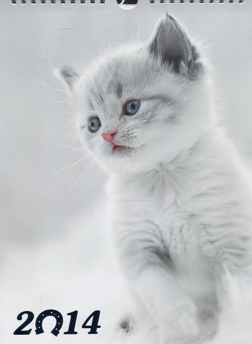 Перекидний календар на 2014 рік. Маленькі пухнастики