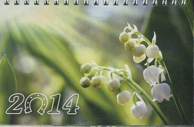 Перекидний календар на 2014 рік. Квiти