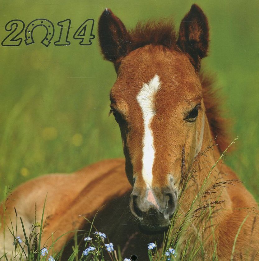 Перекидний календар на 2014 рік. Звірята