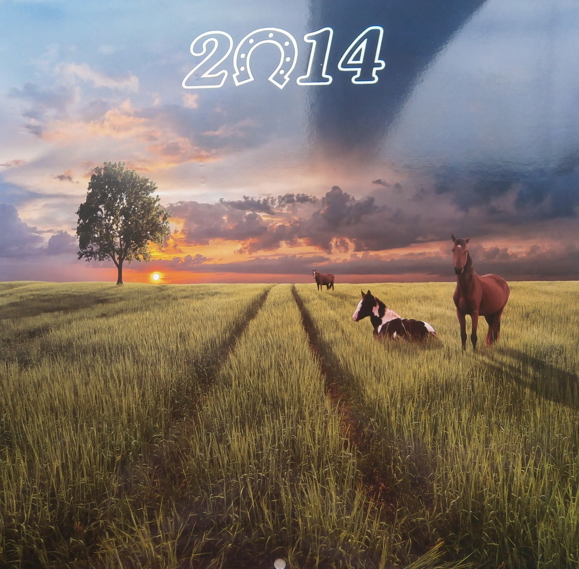 Перекидний календар на 2014 рік. Рік коня