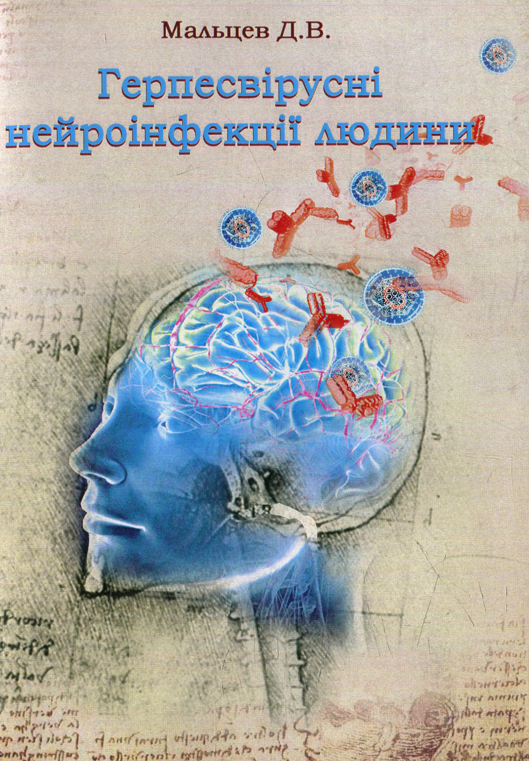 Герпесвірусні нейроінфекції людини