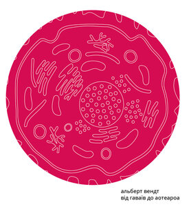 Від Гаваїв до Аотеароа