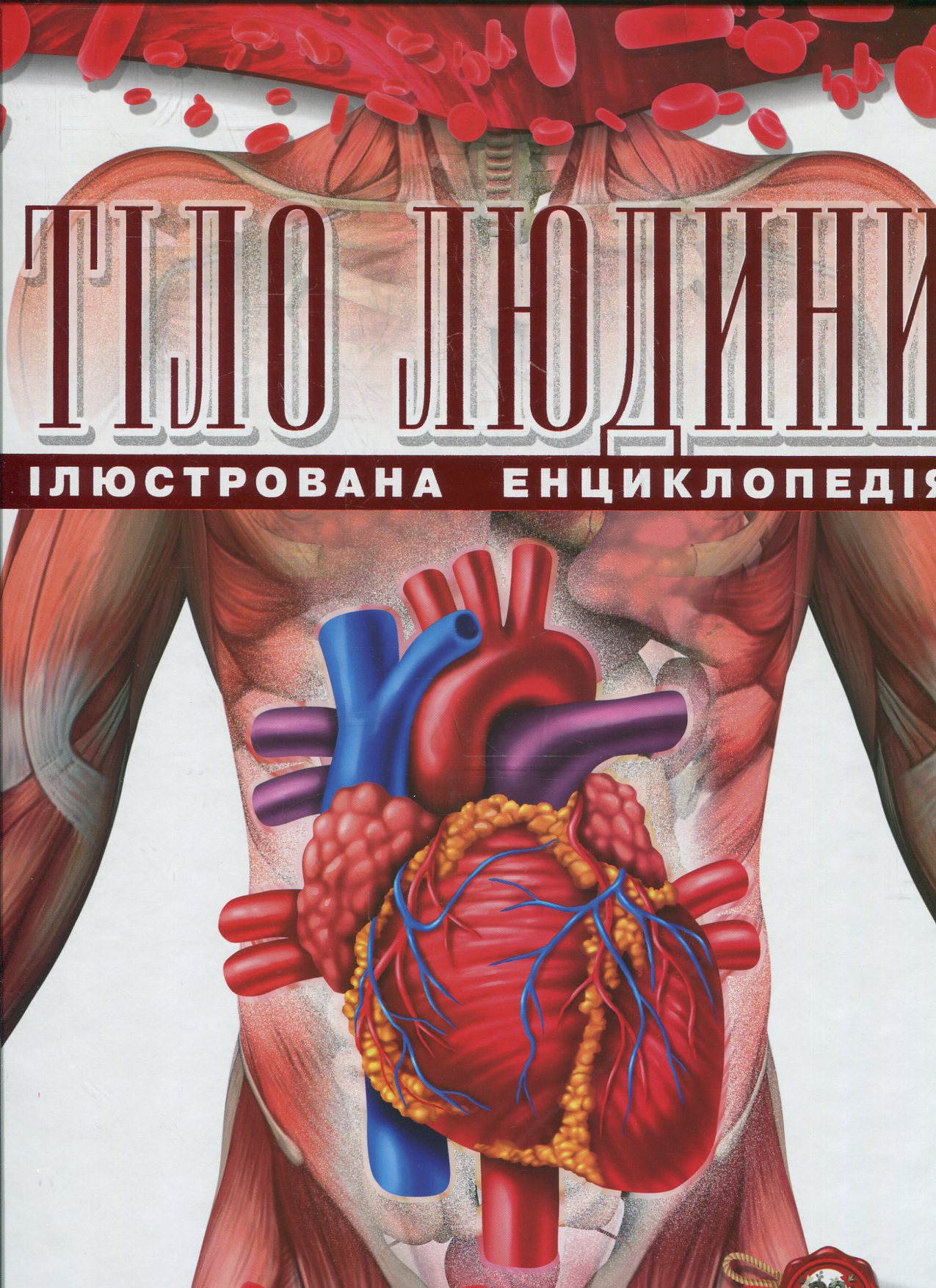 Тіло людини. Ілюстрована енциклопедія