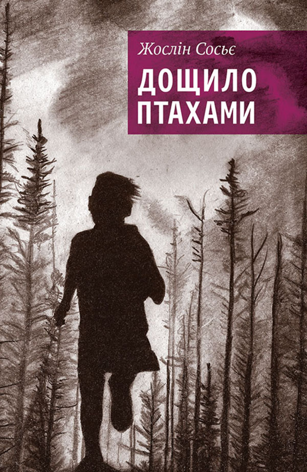 E-book: Дощило птахами