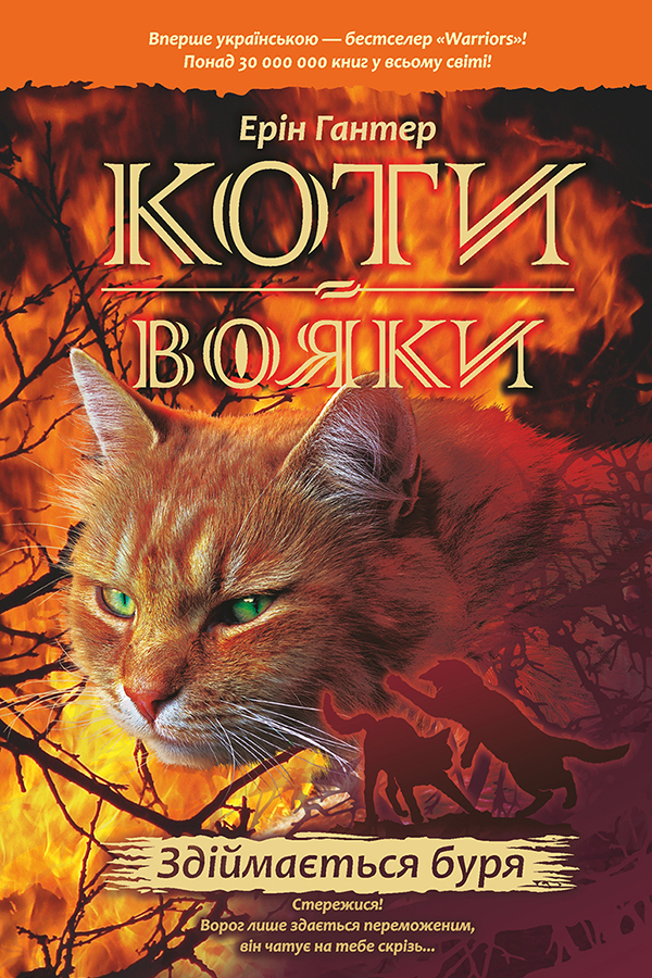Коти-Вояки.  Пророцтва починаються. Книга 4. Здіймається буря