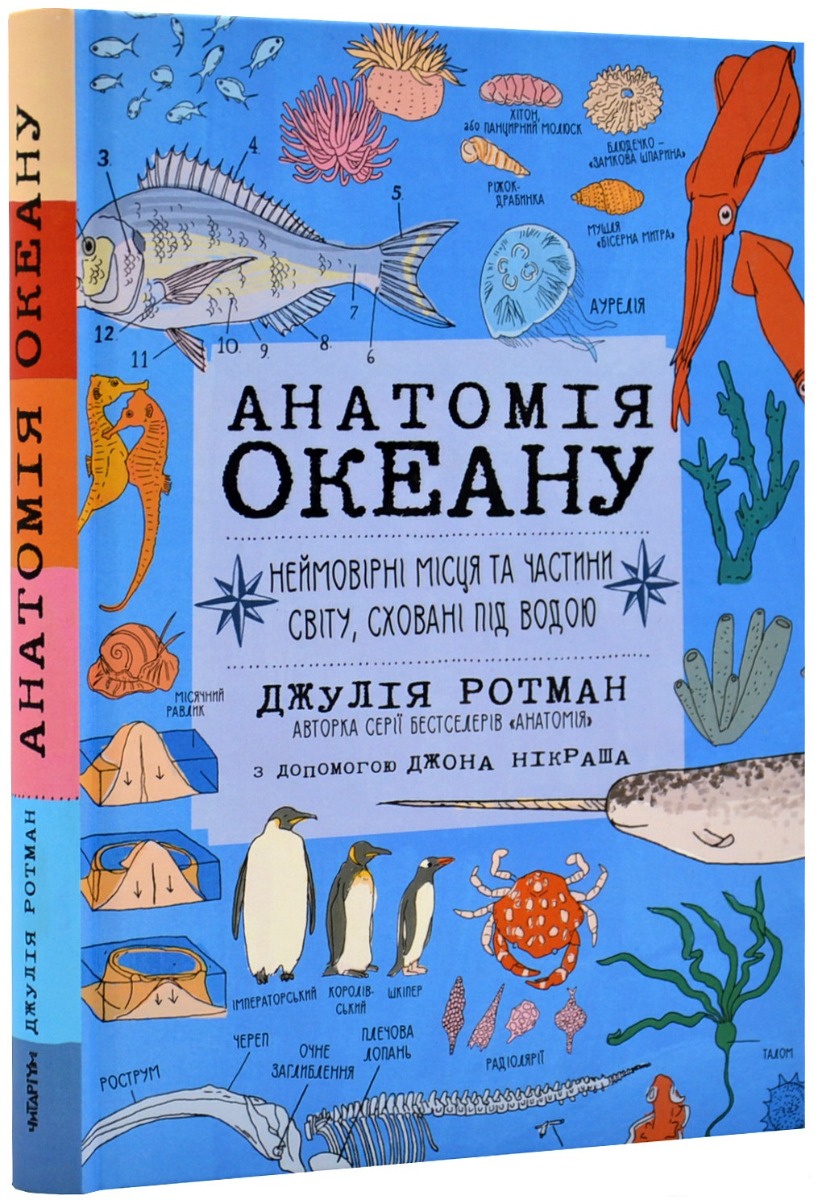 Анатомія океану. Неймовірні місця та частини світу, сховані під водою