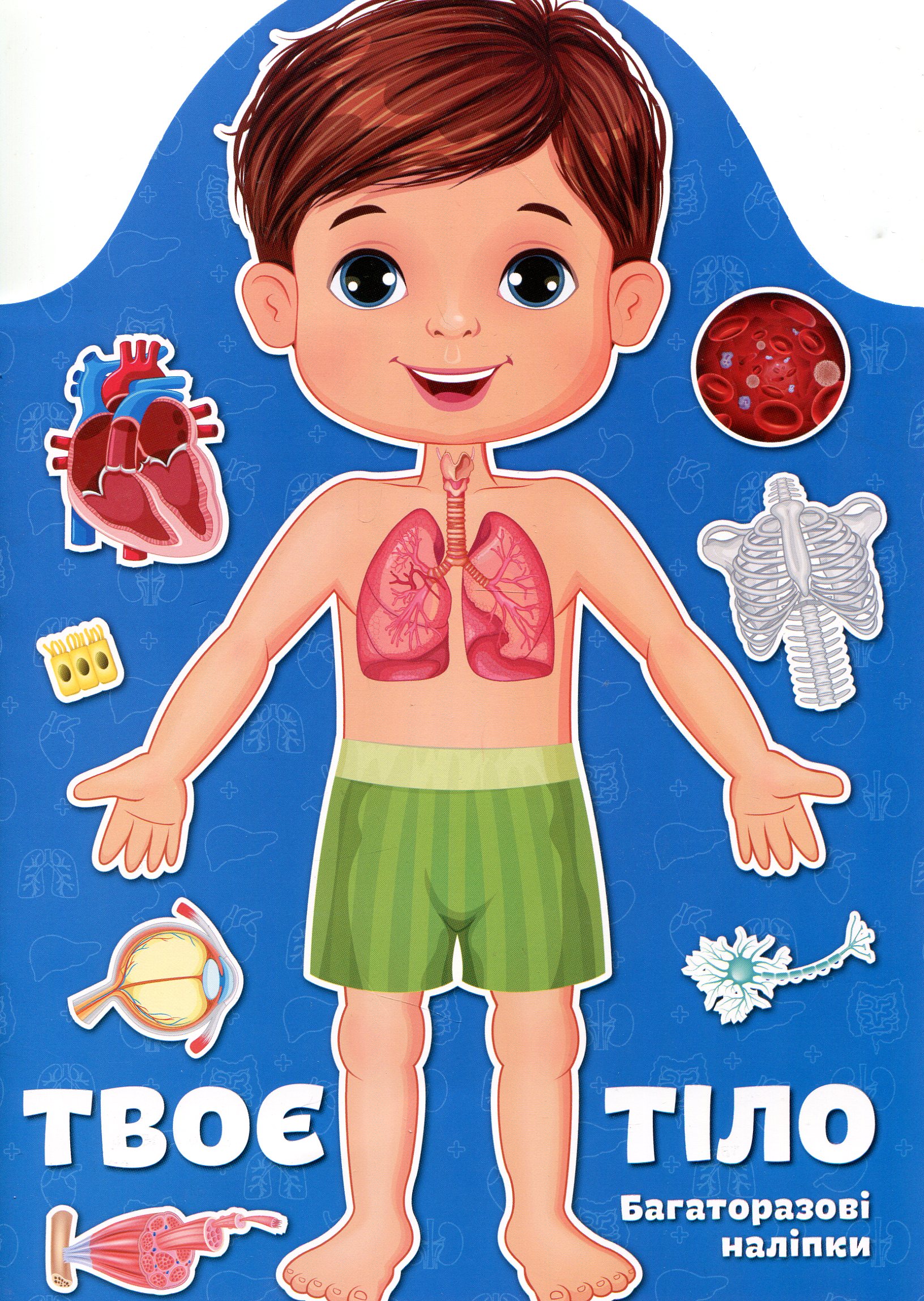 Твоє тіло. Хлопчик. Багаторазові наліпки