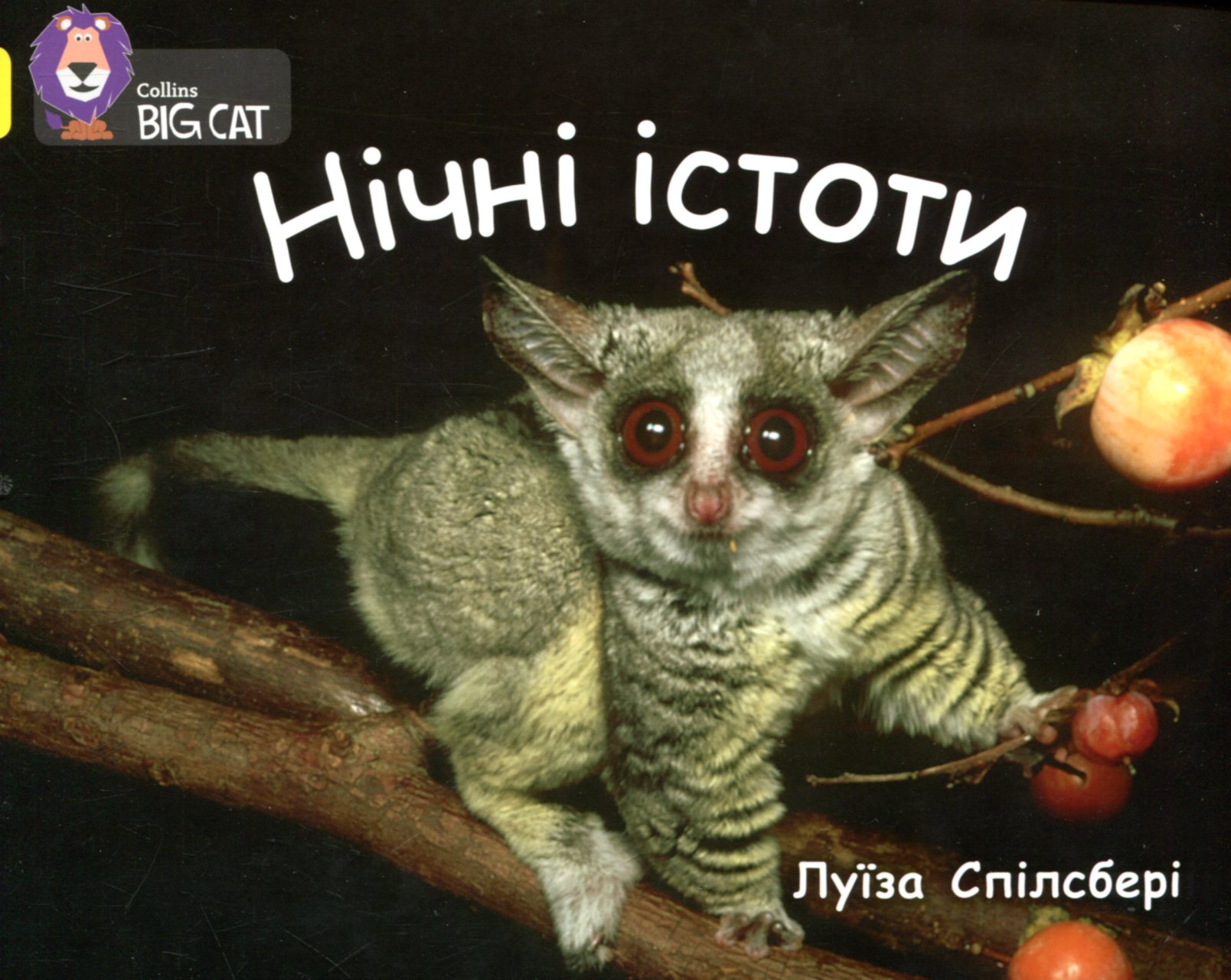 Нічні істоти (Collins BIG CAT)