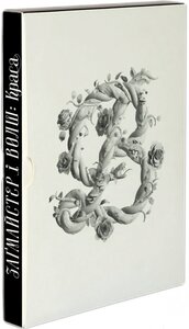 Заґмайстер і Волш. Краса