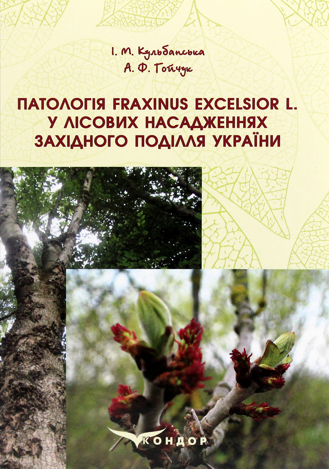 Патологія Fraxinus Excelsior L. у лісових насадженнях Західного Поділля України