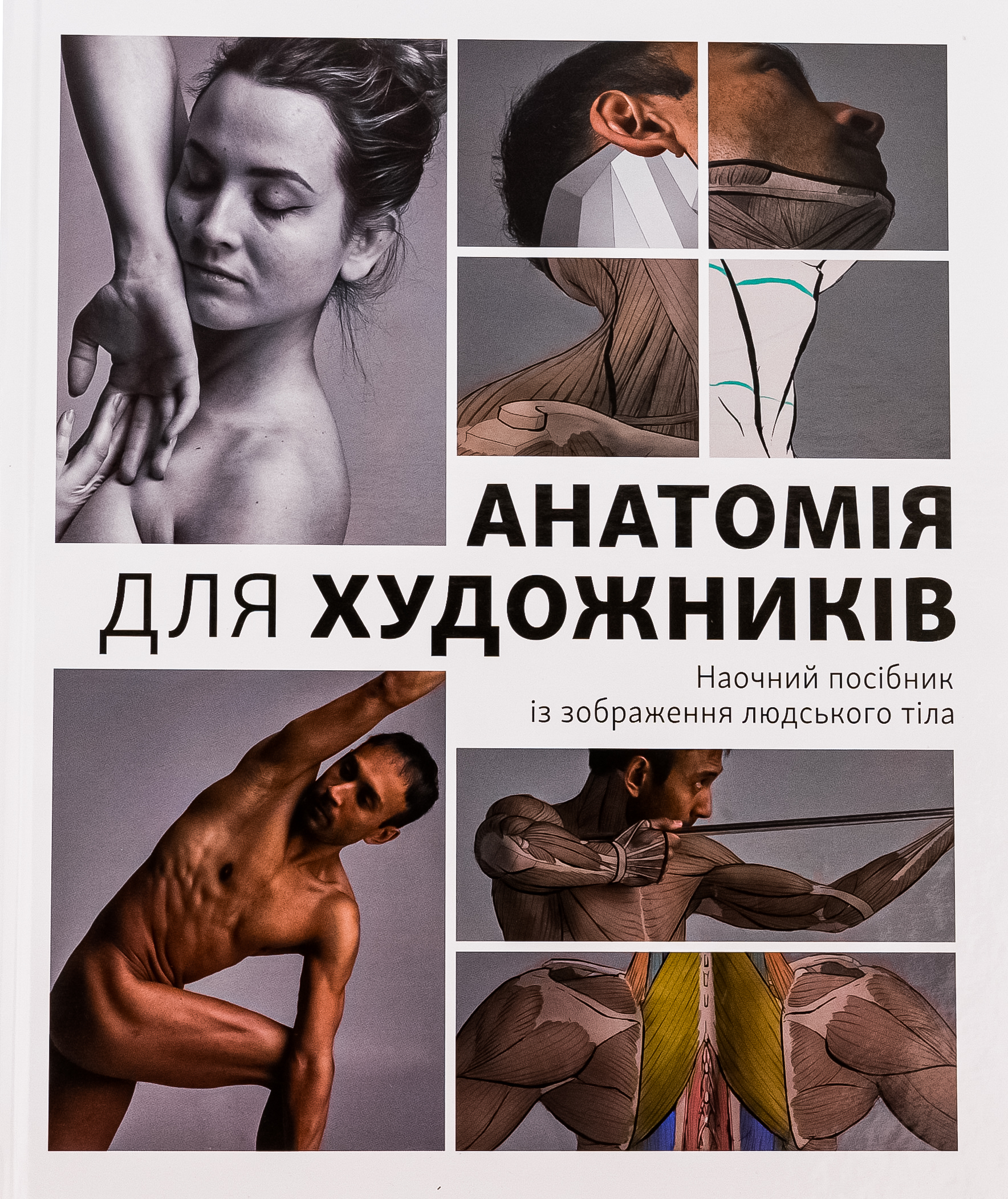 Анатомія для художників. Наочний посібник із зображення людського тіла