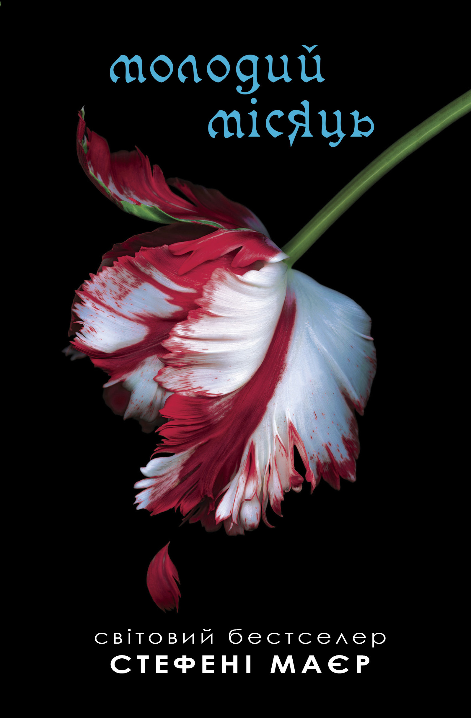 Молодий місяць. Сутінкова сага. Книга 2