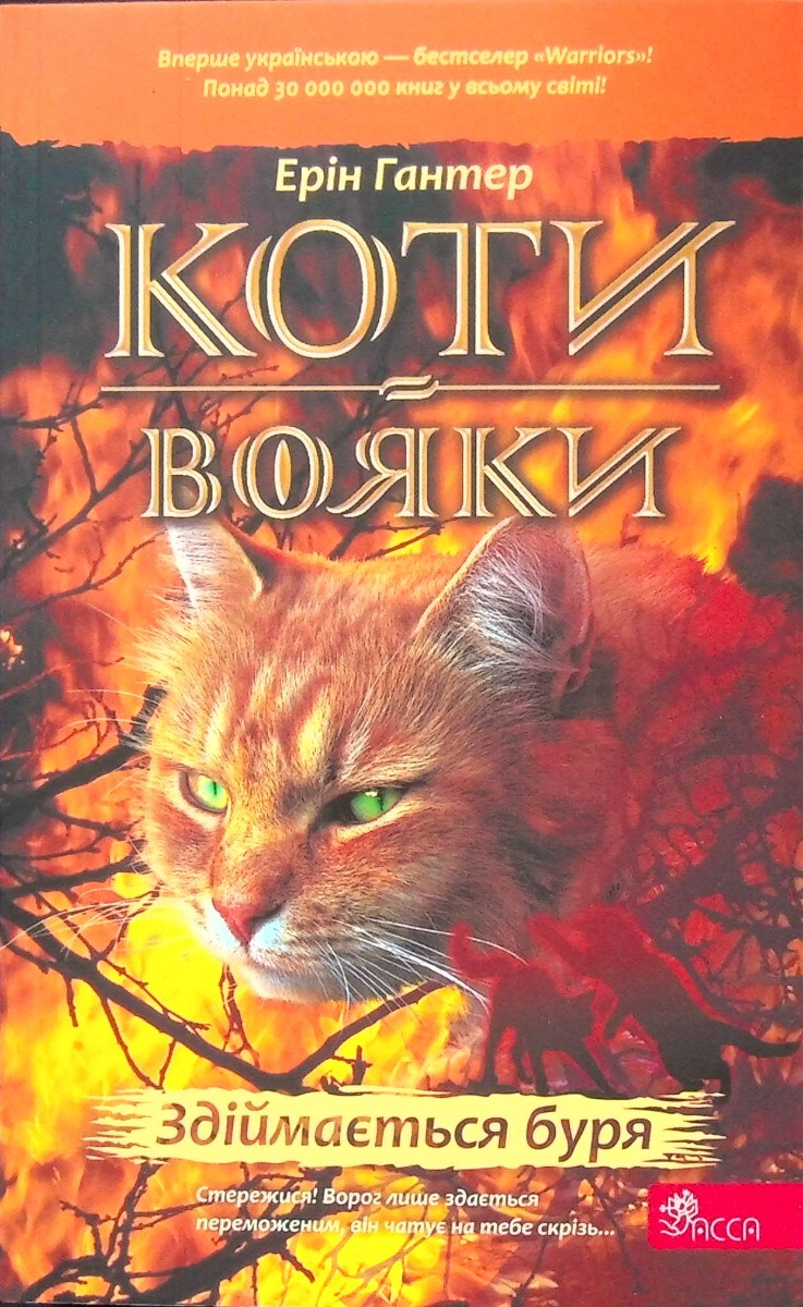 Коти-вояки. Пророцтва починаються. Книга 4. Здіймається буря (м'яка обкладинка)