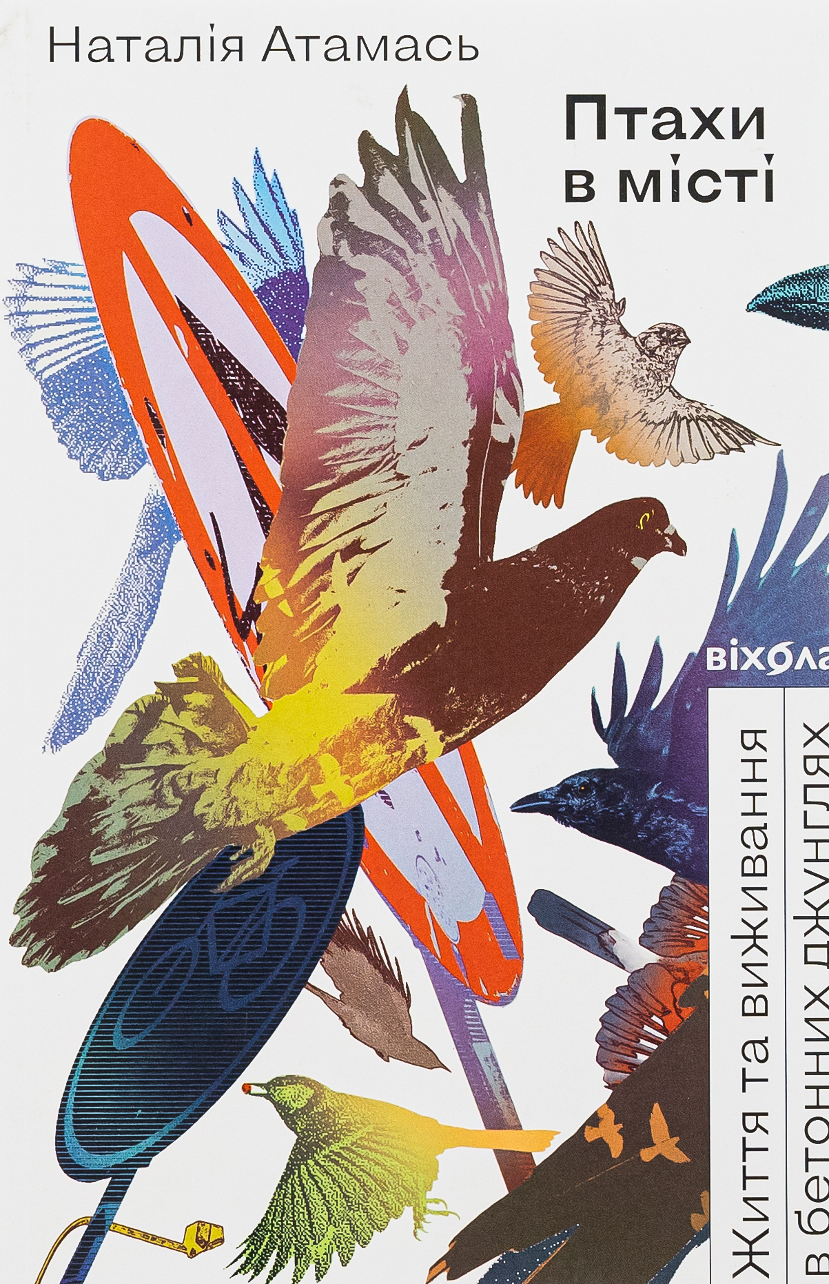Птахи в місті. Життя та виживання в бетонних джунглях. Наталія Атамась