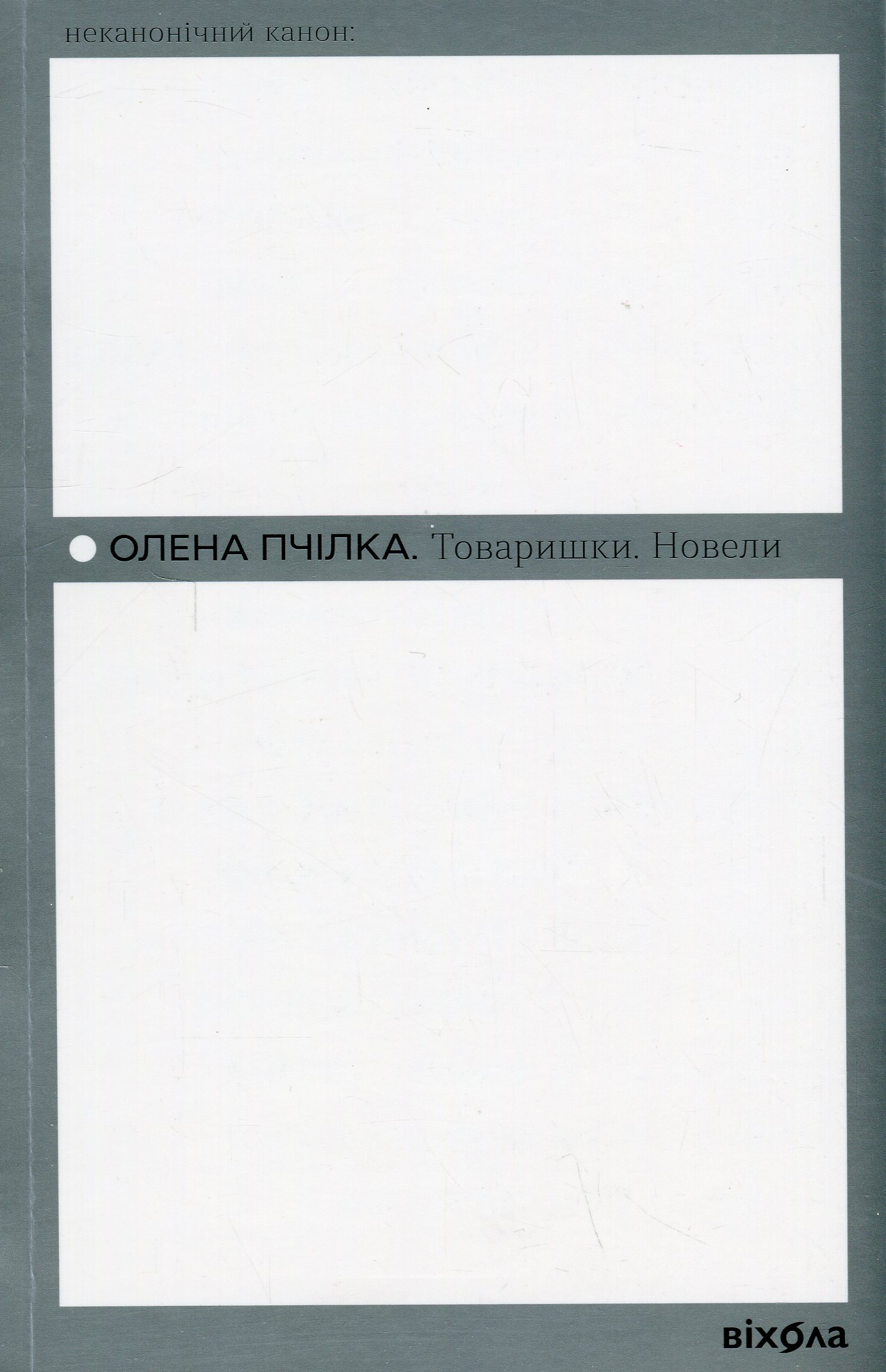 E-book: Товаришки. Новели (Неканонічний канон)