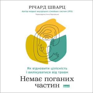 Аудіокнига в електронному форматі «Немає поганих частин. Як відновити цілісність і вилікуватися від травм