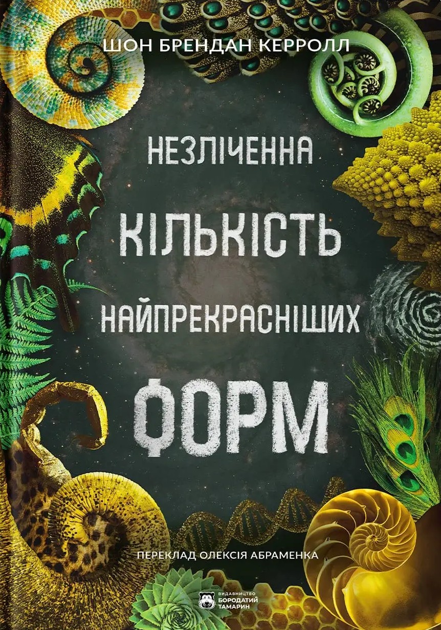 Незліченна кількість найпрекрасніших форм