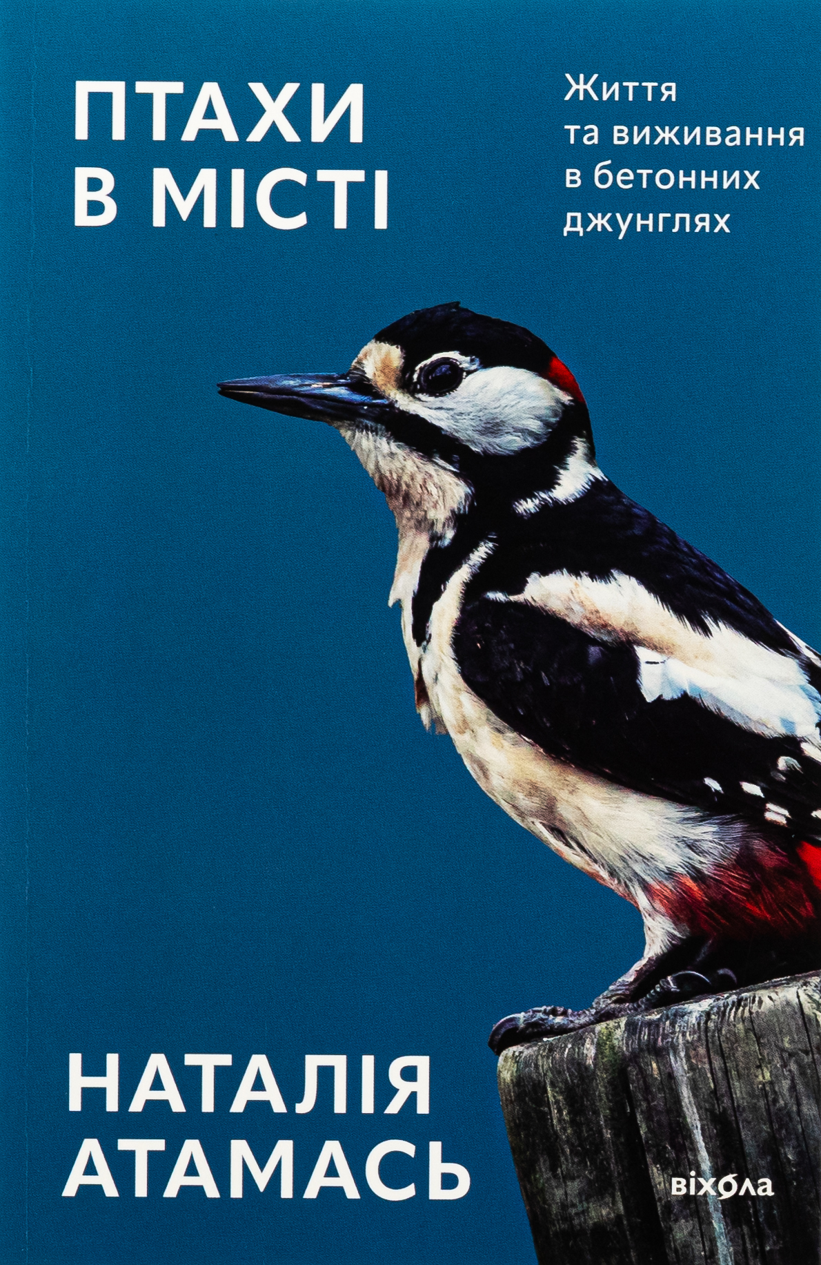 Птахи в місті. Життя та виживання в бетонних джунглях. Наталія Атамась