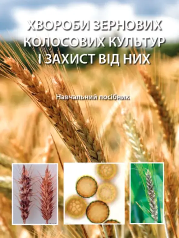Хвороби зернових колосових культур і захист від них