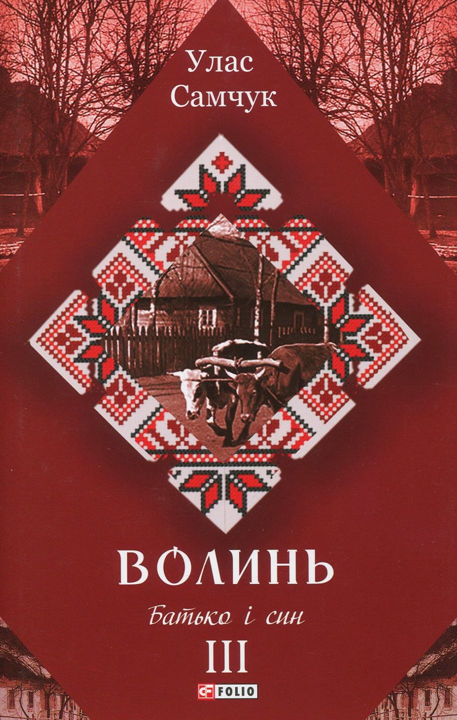 Волинь. Роман у 3-х частинах. Частина 3. Батько і син