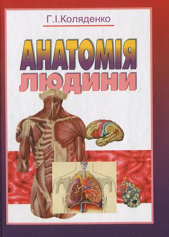 Анатомія людини