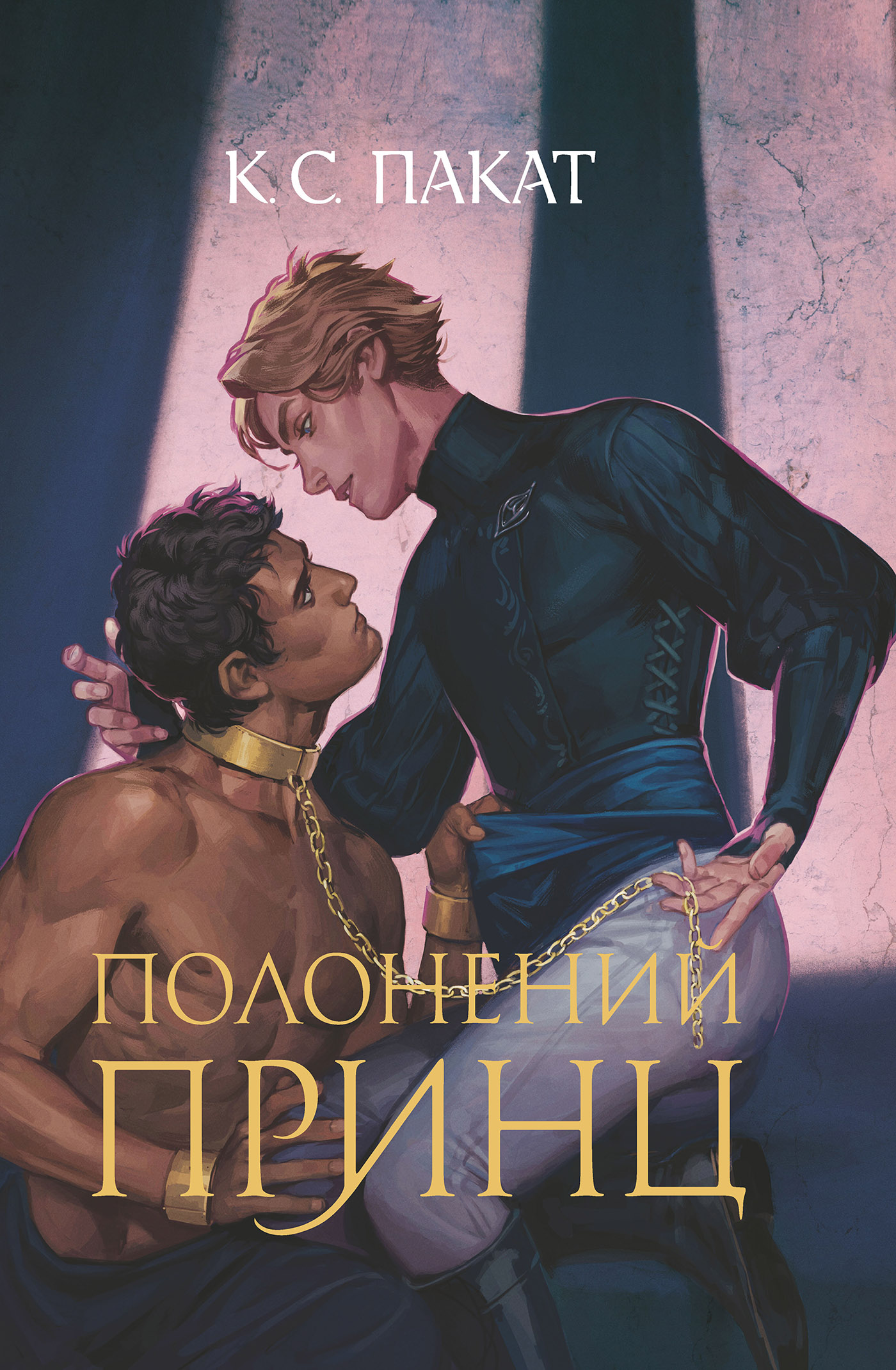E-book: Полонений принц. Книга 1