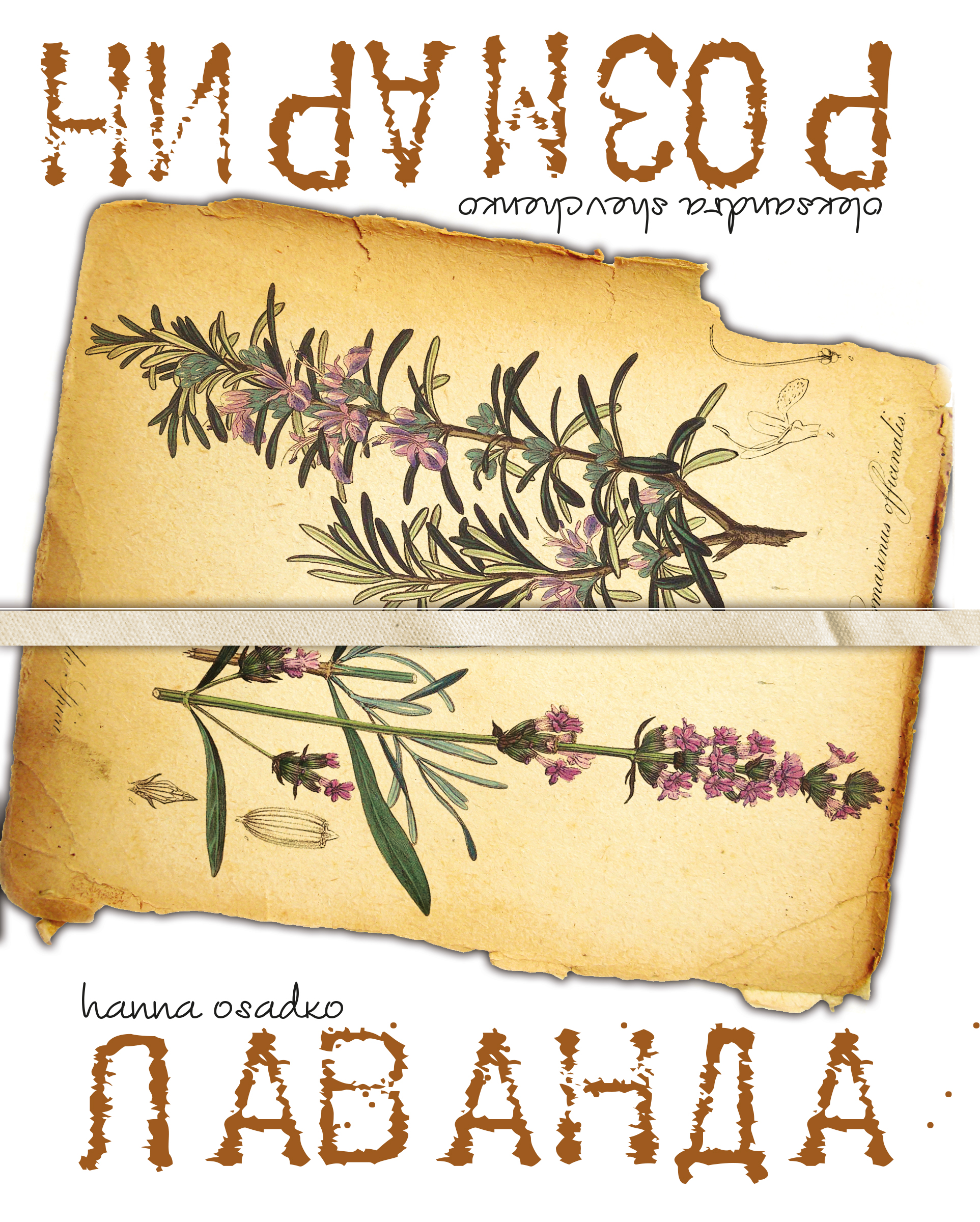 Лаванда & Розмарин. Поетично-кулінарний арт-бук